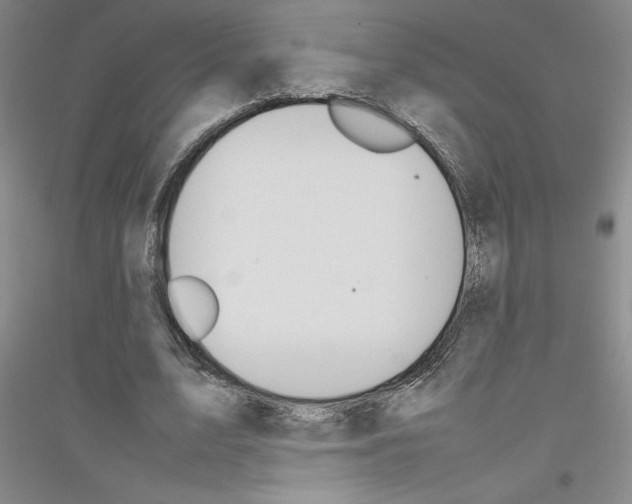 X0000116880583201002021150