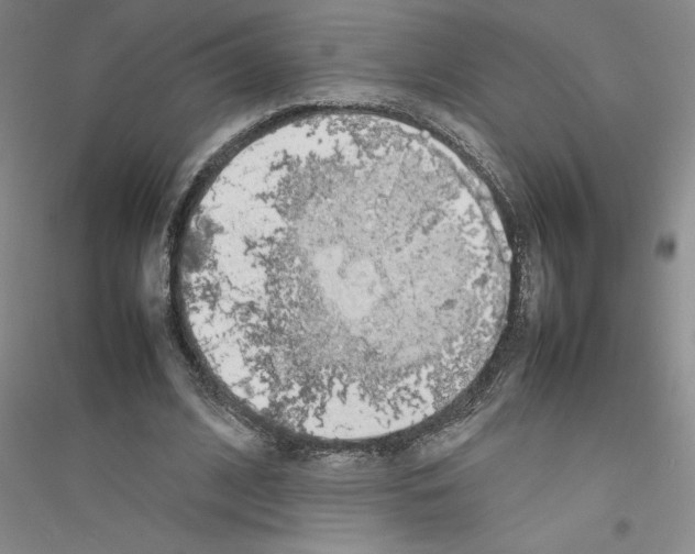 X0000116880584201002021150