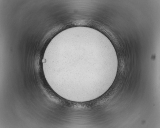 X0000116880586201002021150