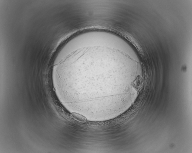 X0000116880588201002021150