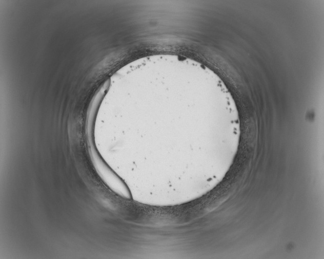 X0000116880589201002021150
