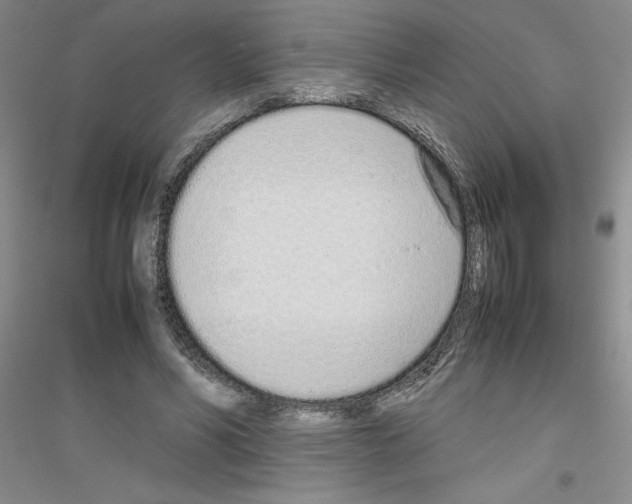 X0000116880590201002021150