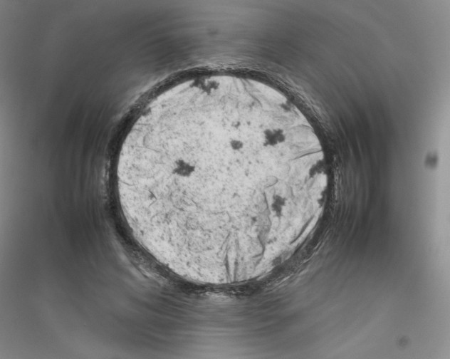 X0000116880592201002021150