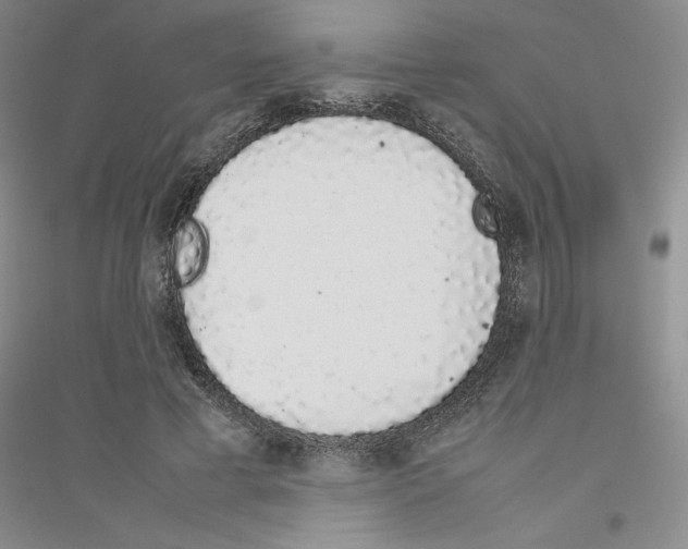 X0000116880593201002021150