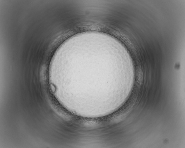X0000116880594201002021150