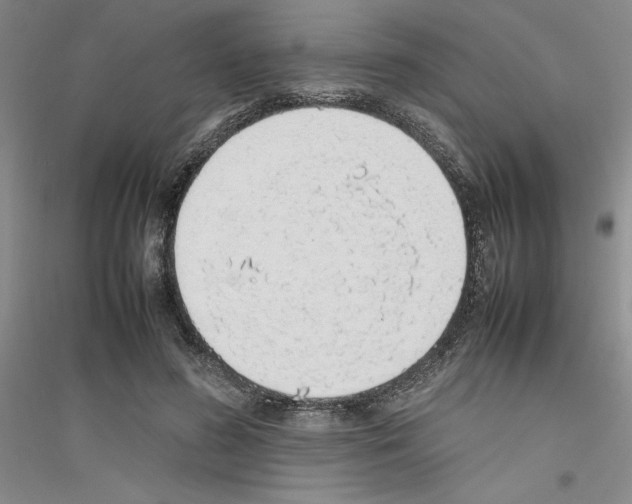 X0000116880596201002021150
