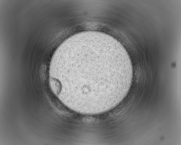 X0000116880598201002021150