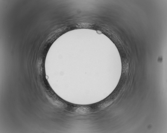 X0000116880599201002021150