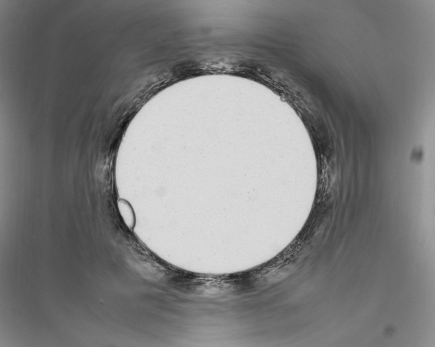 X0000116880601201002021150