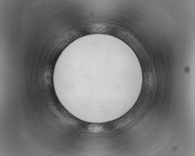 X0000116880602201002021150