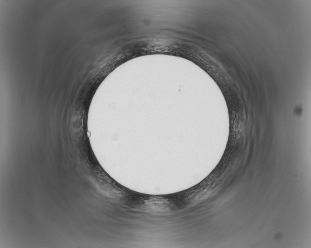 X0000116880603201002021150