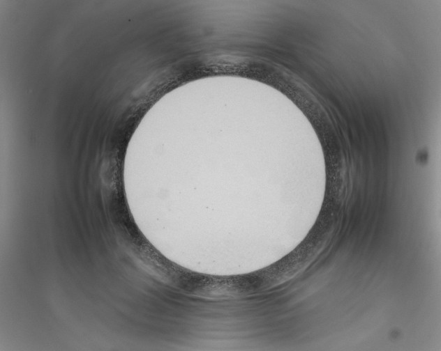 X0000116880604201002021150