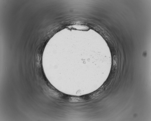 X0000116880605201002021150