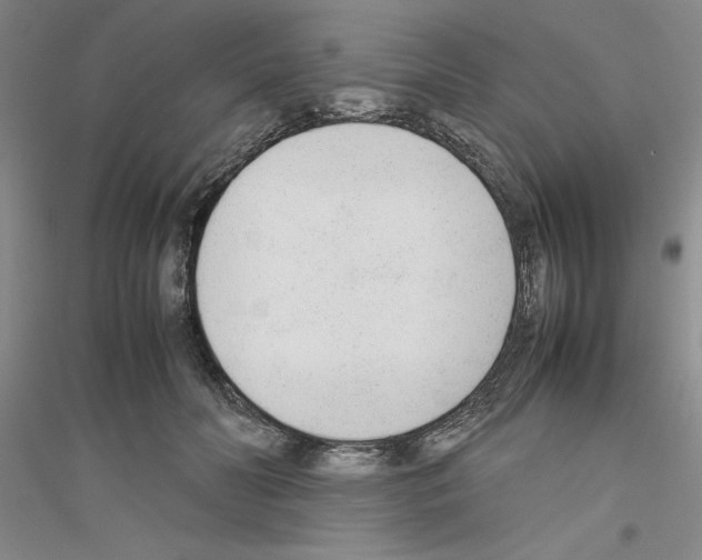 X0000116880606201002021150