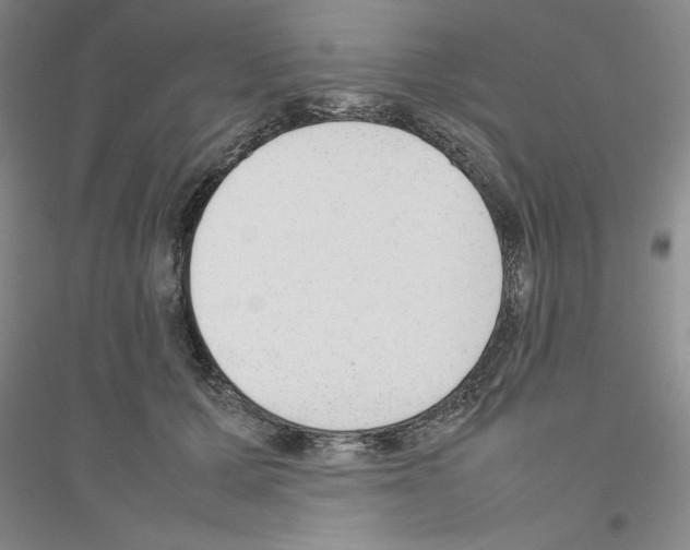 X0000116880607201002021150