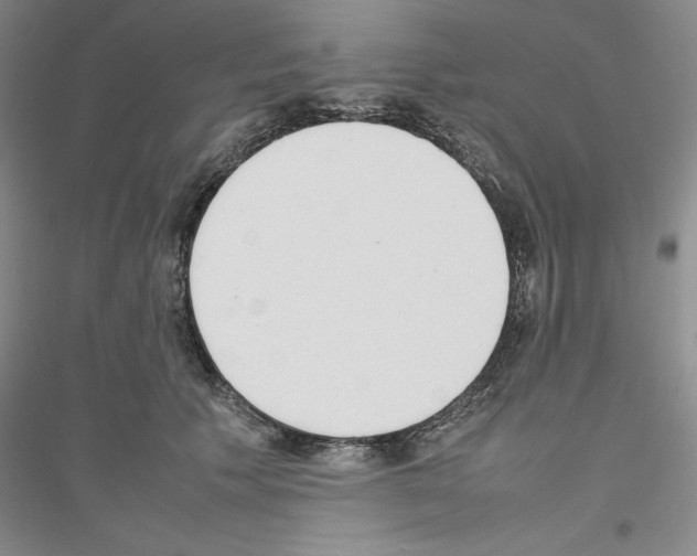 X0000116880609201002021149