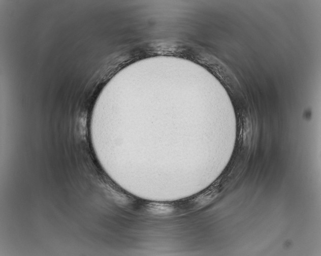 X0000116880610201002021149