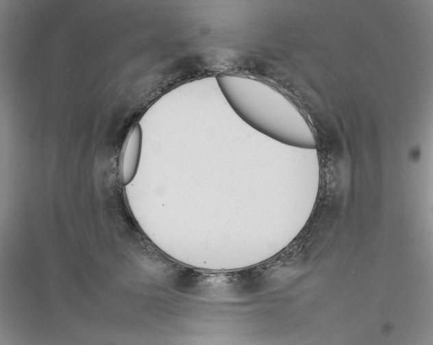 X0000116880611201002021149