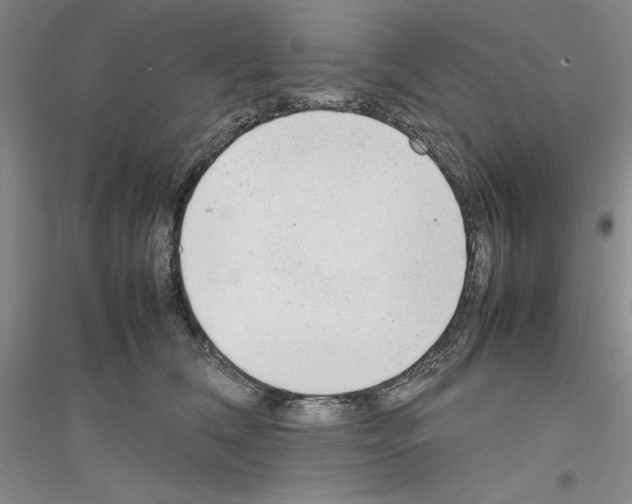 X0000116880612201002021149