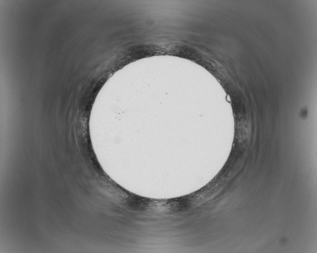 X0000116880613201002021149