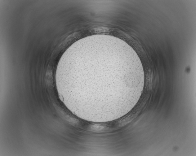 X0000116880614201002021149