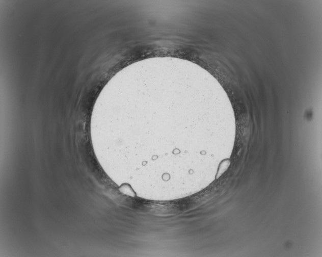 X0000116880615201002021149