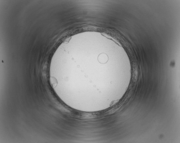 X0000116880616201002021149
