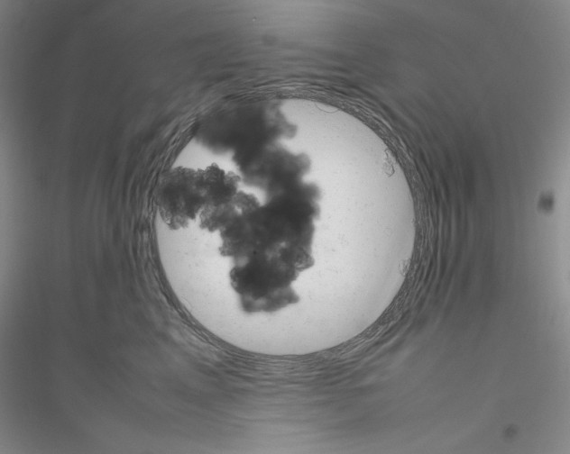 X0000116880617201002021149