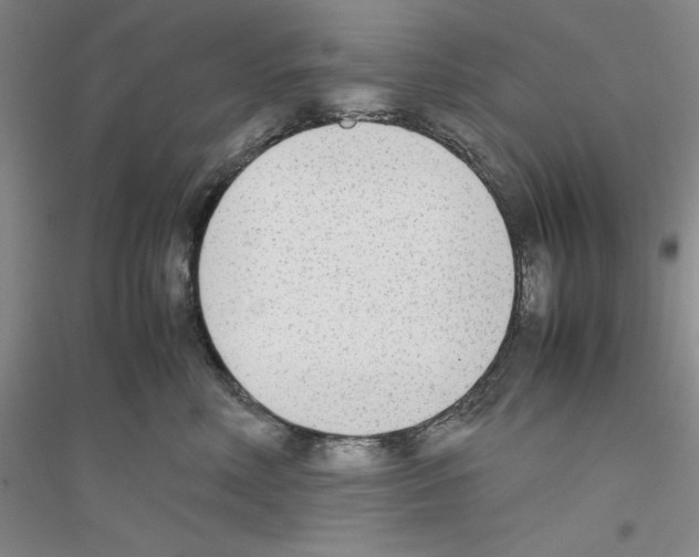 X0000116880618201002021149