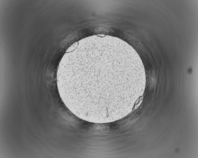 X0000116880619201002021149