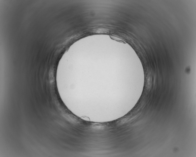 X0000116880620201002021149