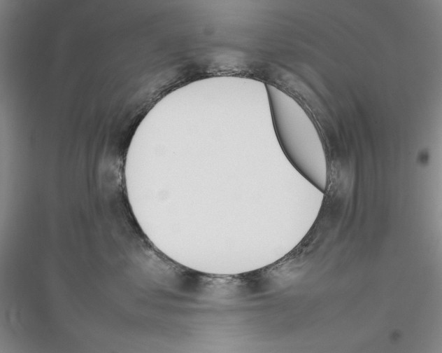 X0000116880621201002021149