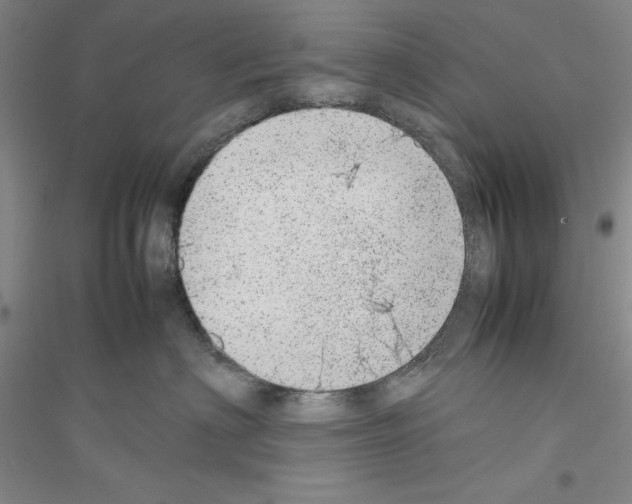 X0000116880622201002021149