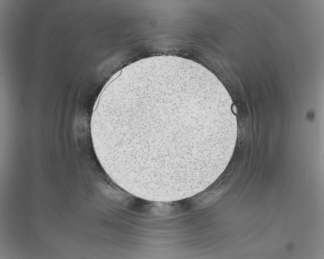 X0000116880623201002021149
