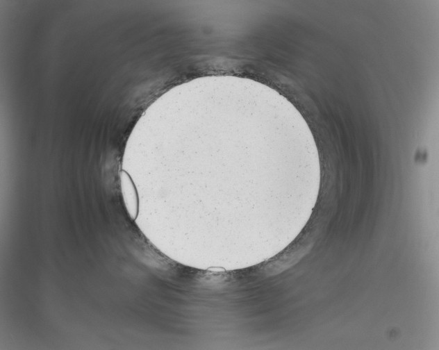 X0000116880624201002021149