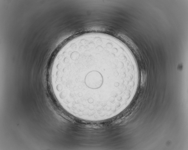 X0000116880627201002021149