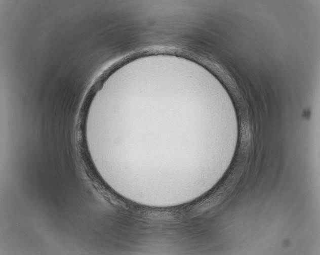 X0000116880628201002021149