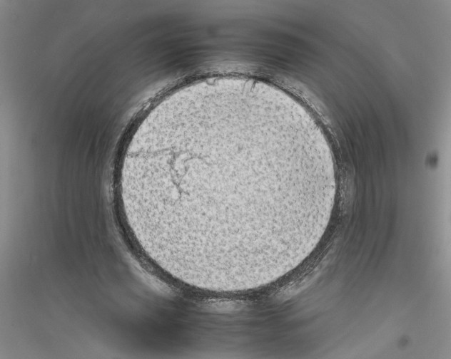 X0000116880629201002021149