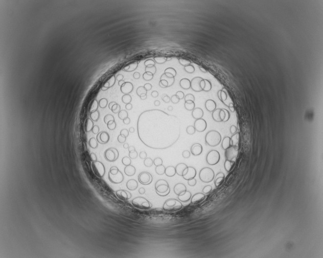 X0000116880630201002021149