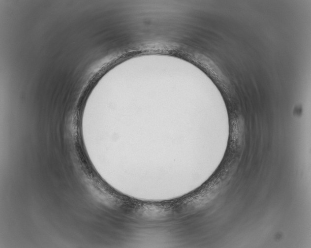 X0000116880632201002021149