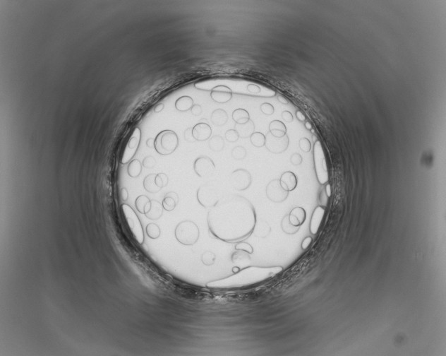 X0000116880634201002021149
