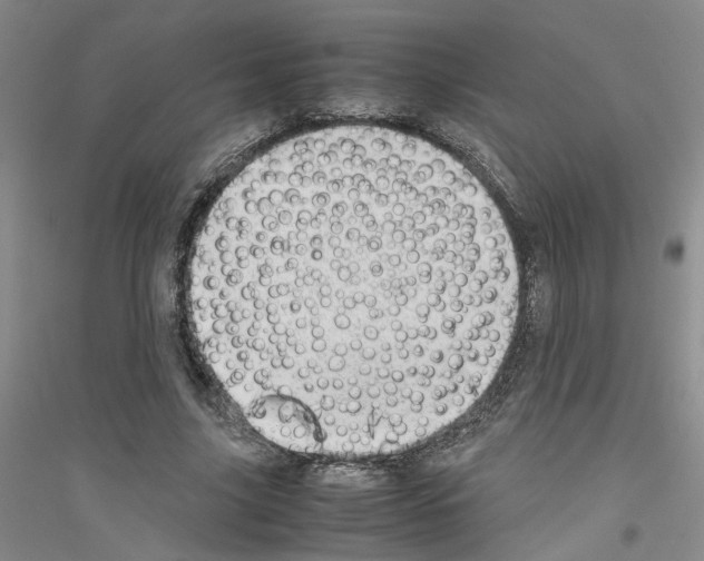 X0000116880635201002021149