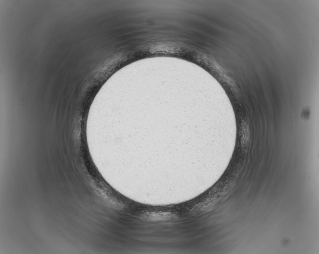 X0000116880637201002021149