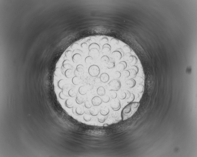 X0000116880639201002021149
