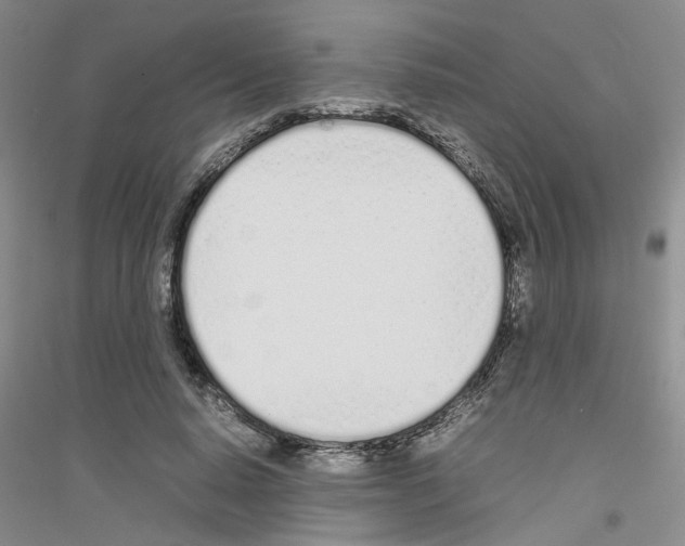 X0000116880640201002021149