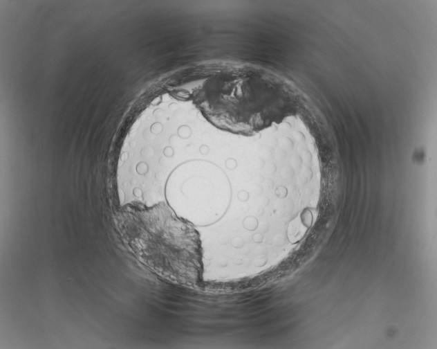 X0000116880641201002021149