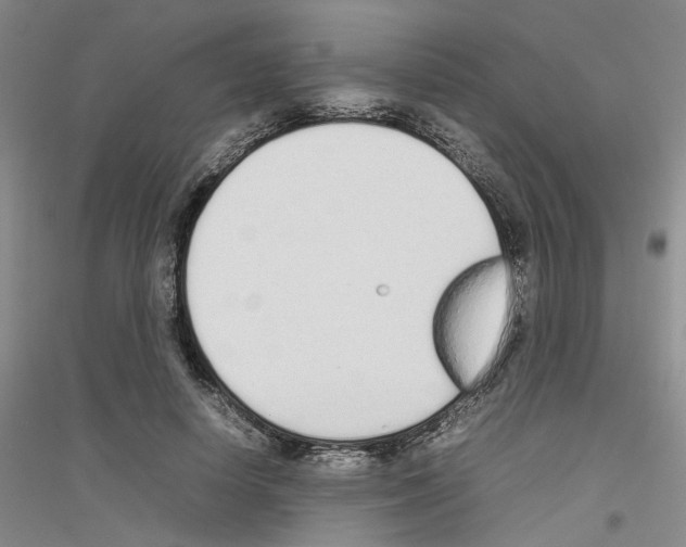 X0000116880642201002021149