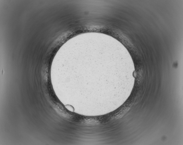 X0000116880644201002021149