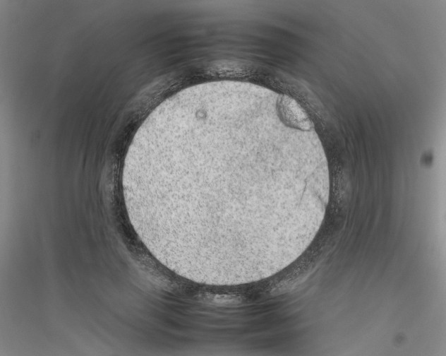 X0000116880645201002021149
