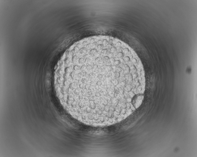 X0000116880646201002021149